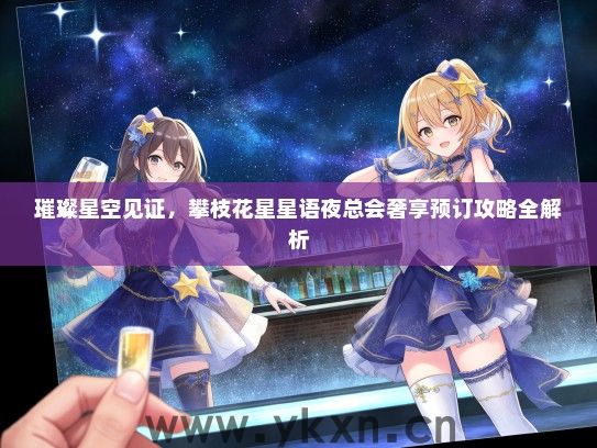 璀璨星空见证，攀枝花星星语夜总会奢享预订攻略全解析